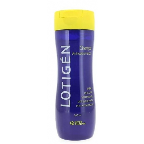 Lotigen antiseborreico champu (300 ml)