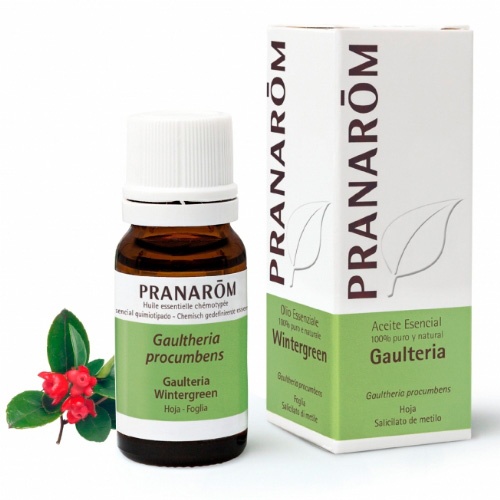 Gaulteria aceite esencial 10ml (pranarom)