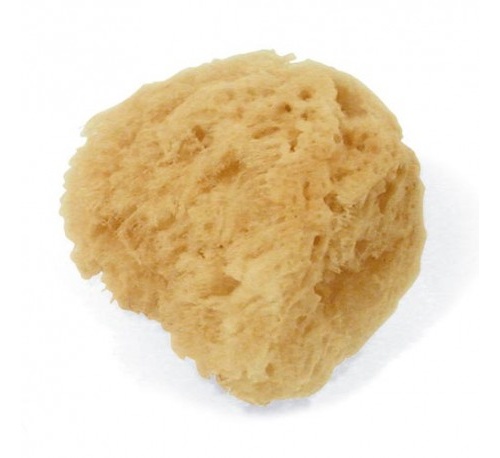 Esponja infantil natural - aposan