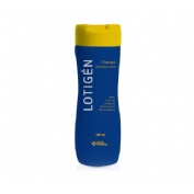 Lotigen antiseborreico champu (300 ml)