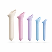 Dilitador vaginal Vagiwell Premiun kit completo