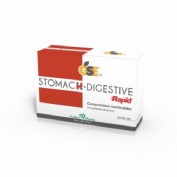 Gse stomach digestive rapid (24 comprimidos masticables)
