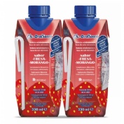 Bioralsuero (2 tetrabriks 330 ml sabor fresa)